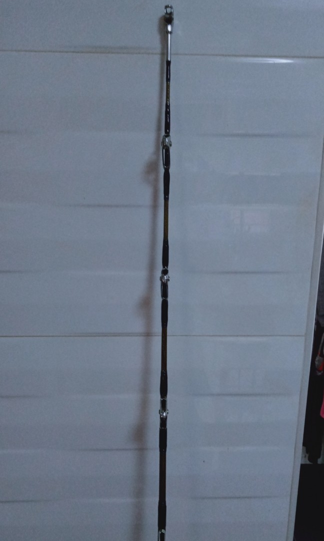 daiwa sealine powerlift rod