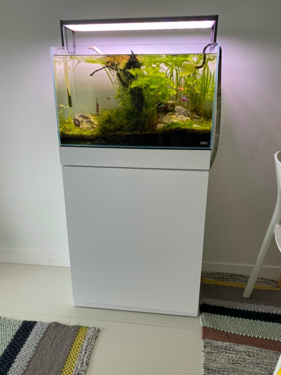 full aquarium setup ADA, Pet Supplies, Homes & Other Pet