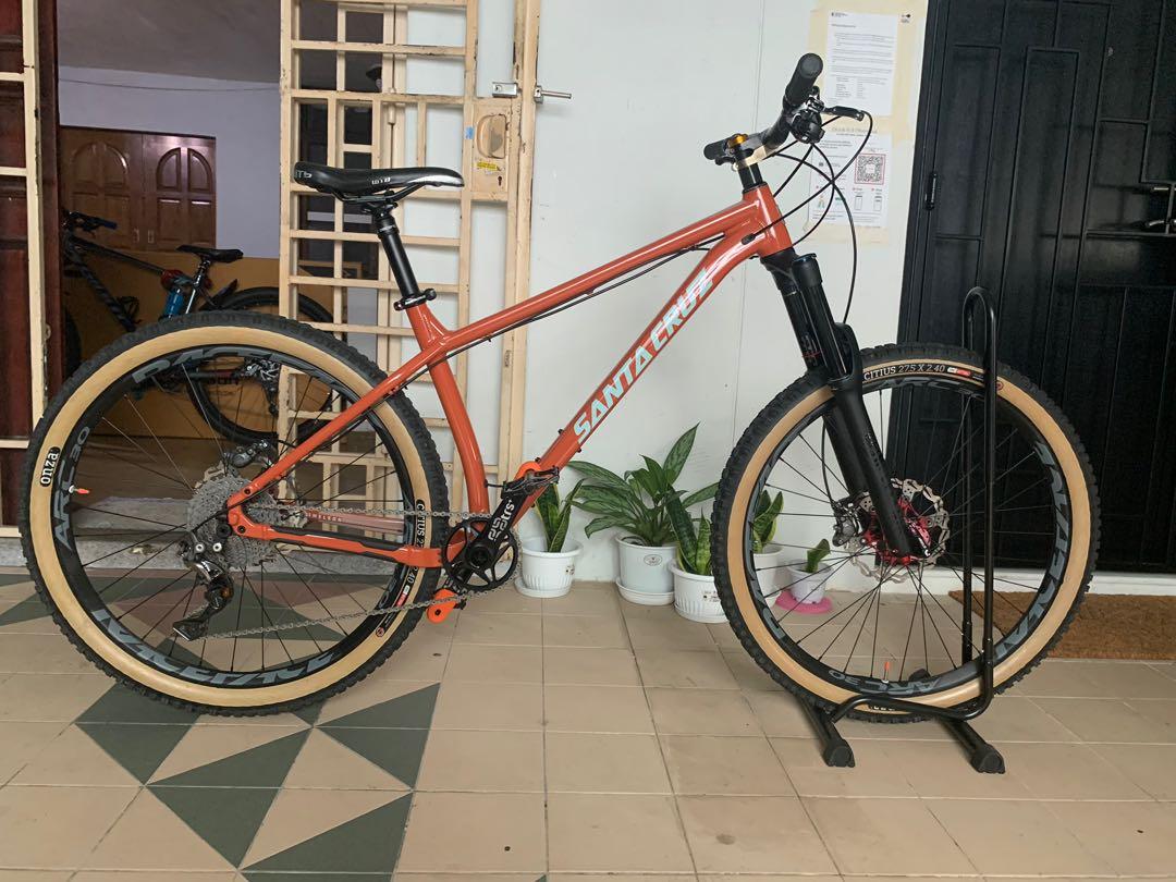 santa cruz chameleon 2019