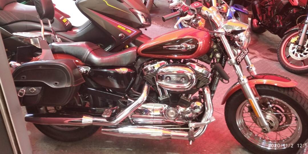 used harley sportster