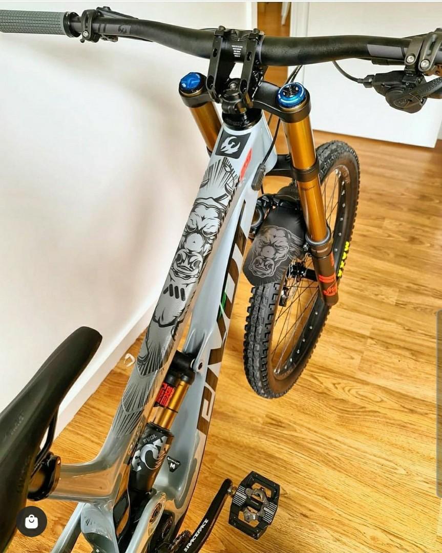 Ams best sale frame guard