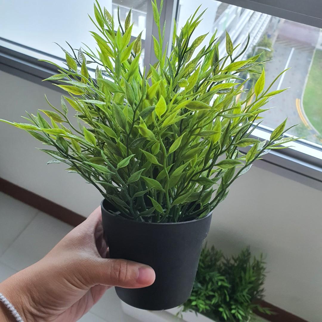 Faux/Fake Pot Plants from IKEA, Furniture & Home Living, Gardening
