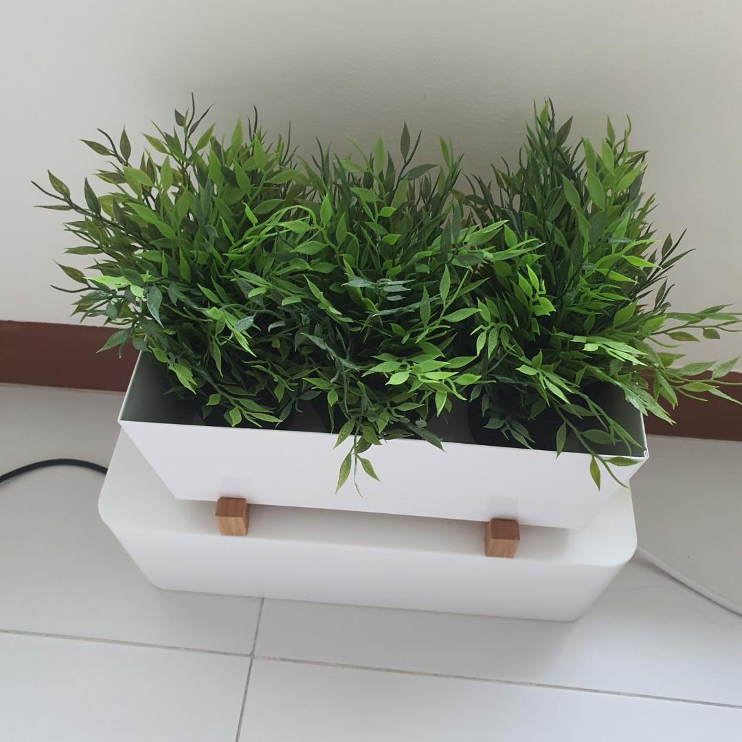 Faux/Fake Pot Plants from IKEA, Furniture & Home Living, Gardening