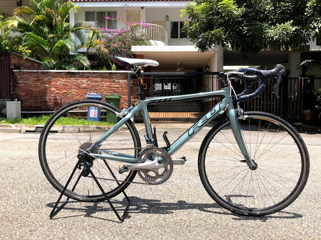 Felt zw5 2025