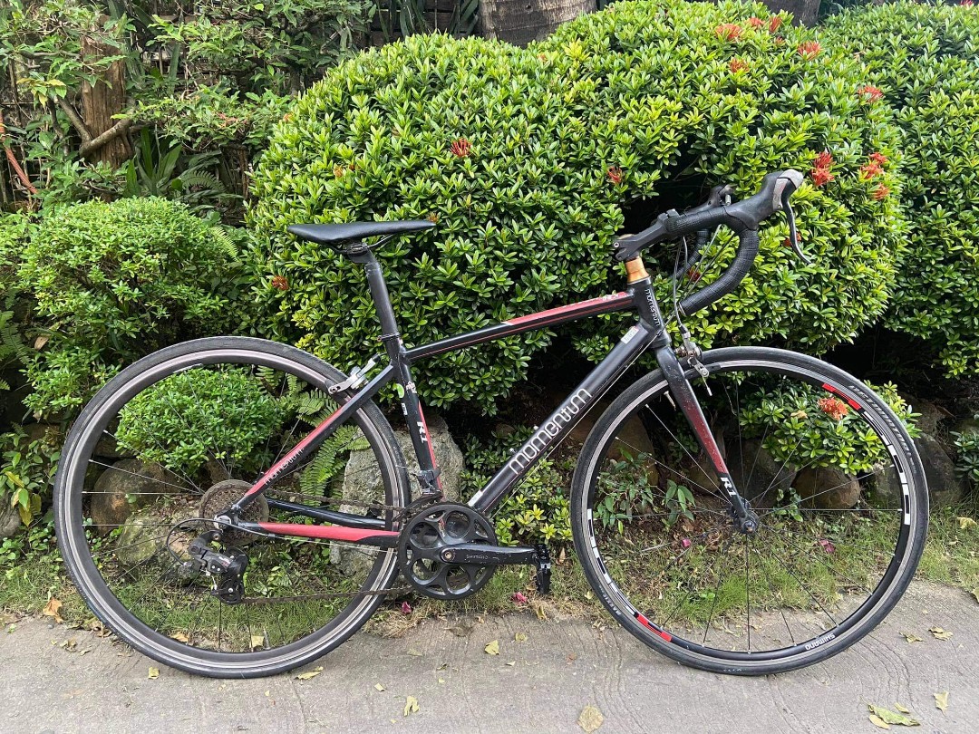 momentum road bike price