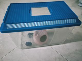 (Category: ) located in . Submitted by iVinVi (Listing ID 1050357296, Image 1). Description: .