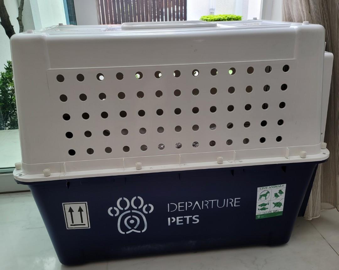 PP 60 Airline Approved Pet Carrier/ Crate XXL, Pet Supplies, Homes
