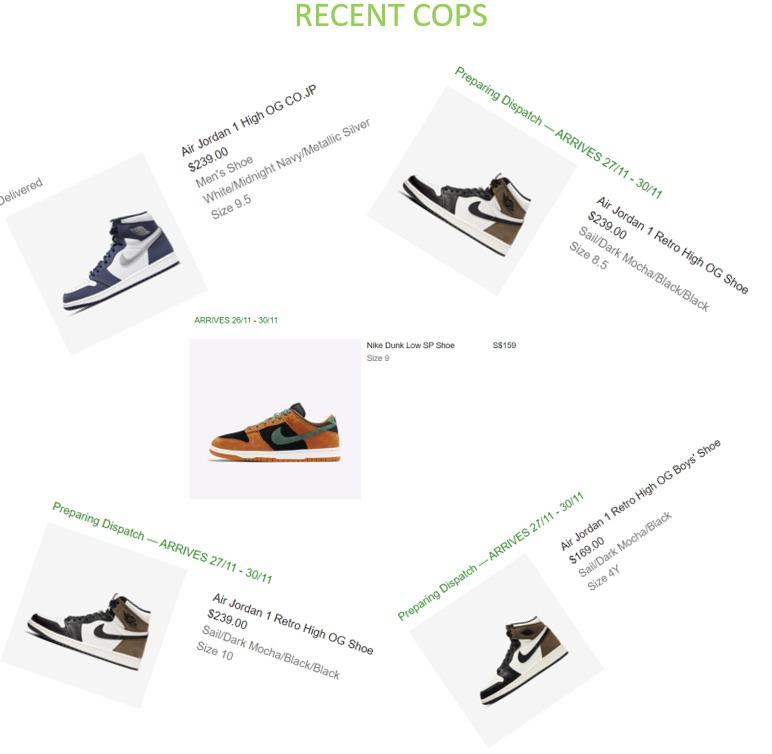 VERIFIED Premium Nike accounts