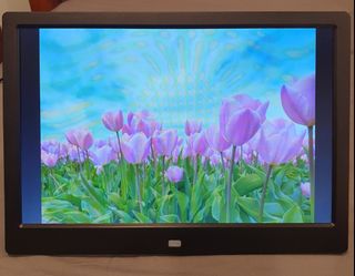 (Category: ) located in . Submitted by arklee777 (Listing ID 1050637833, Image 1). Description: .