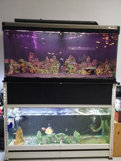 (Category: ) located in . Submitted by jonjonjonjon13 (Listing ID 1050580869, Image 1). Description: .