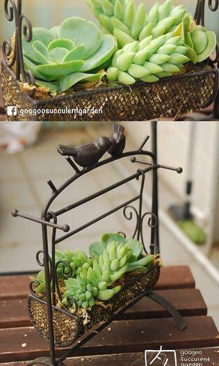 和風日系zakka復古鐵製小鳥搖籃植物花架接吻鳥雜貨擺設多肉植物家居收納置物現貨即買日本直送 傢俬 家居 Gardening Plants Carousell