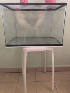 (Category: ) located in . Submitted by boychaa (Listing ID 1050498903, Image 1). Description: .