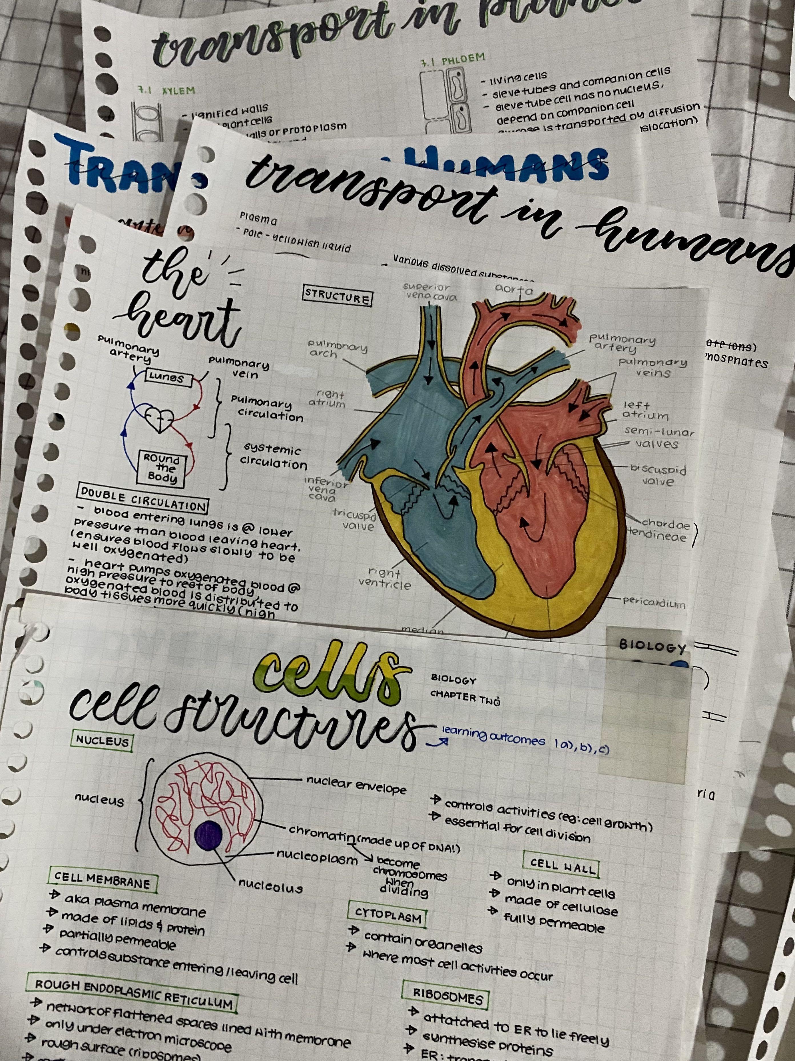 O LEVEL Pure Biology Notes, Hobbies