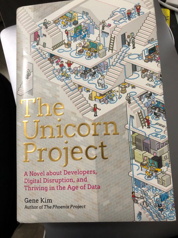 The unicorn project, Hobbies & Toys, Books & Magazines, Fiction & Non ...