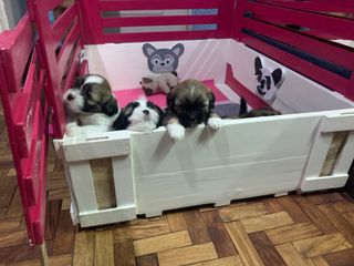 (Category: ) located in . Submitted by luanne.m328 (Listing ID 1050466890, Image 1). Description: .