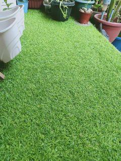 Grass Carpet Artificial Grass