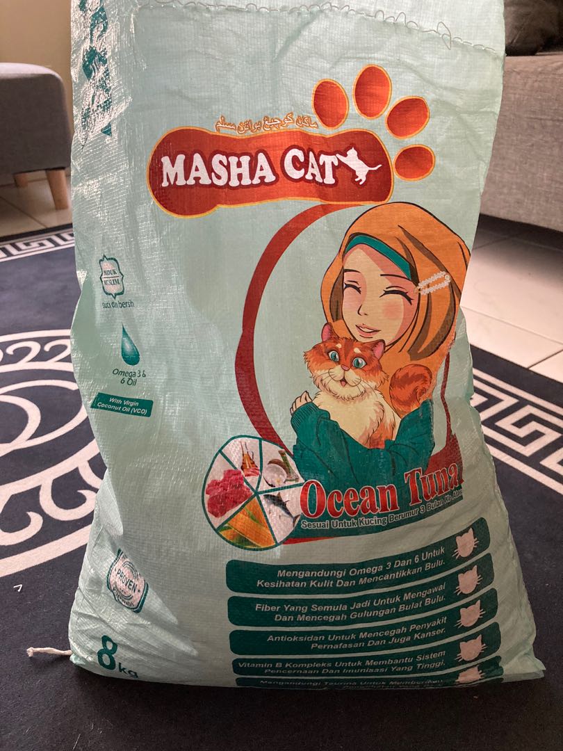 Masha cat