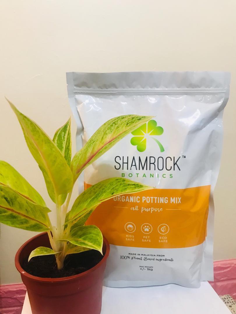Organic Potting Mix Home Furniture Gardening On Carousell