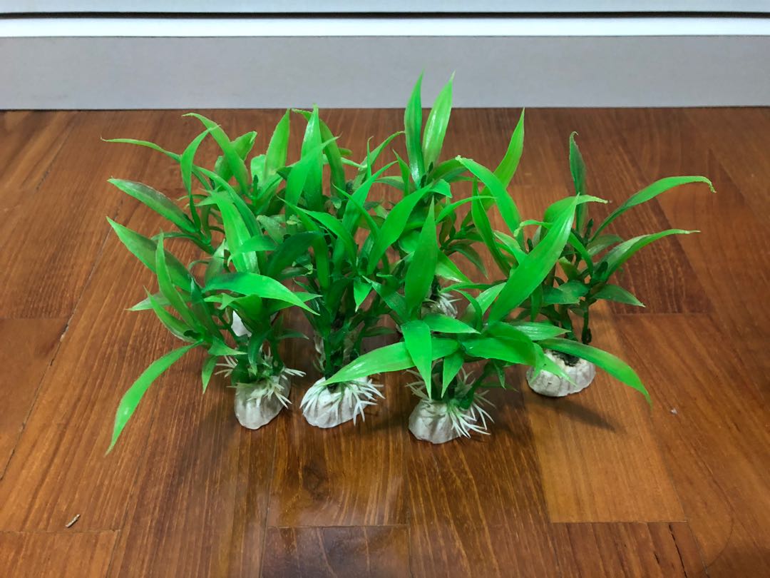 Plastic aquarium plants x 7, Furniture & Home Living, Gardening, Plants & Seeds on Carousell