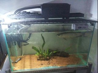 (Category: ) located in . Submitted by danial_j (Listing ID 1050986718, Image 1). Description: .