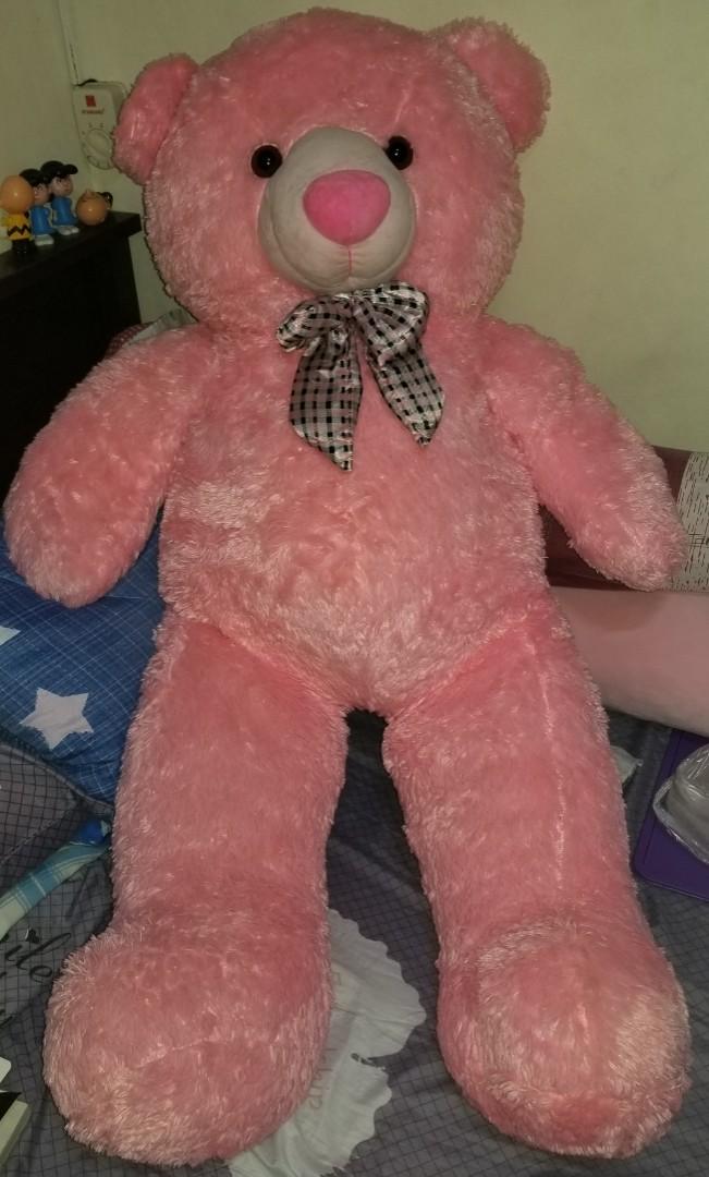 Human Size Pink Bear Hobbies Toys Toys Games on Carousell