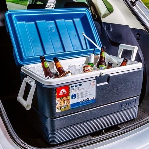 Igloo Maxcold 50 Qt Cooler Travel Travel Essentials Outdoor Camping On Carousell