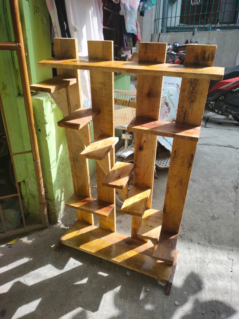 Plants Succulent and cactus rack, Furniture & Home Living, Gardening ...