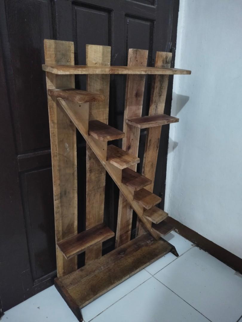 Plants Succulent and cactus rack, Furniture & Home Living, Gardening ...