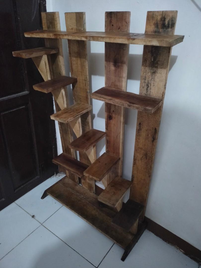 Plants Succulent and cactus rack, Furniture & Home Living, Gardening ...