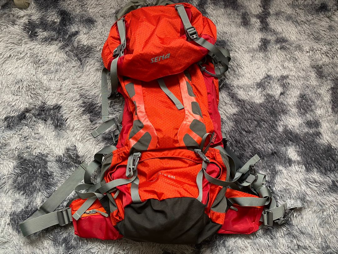 sena backpack price