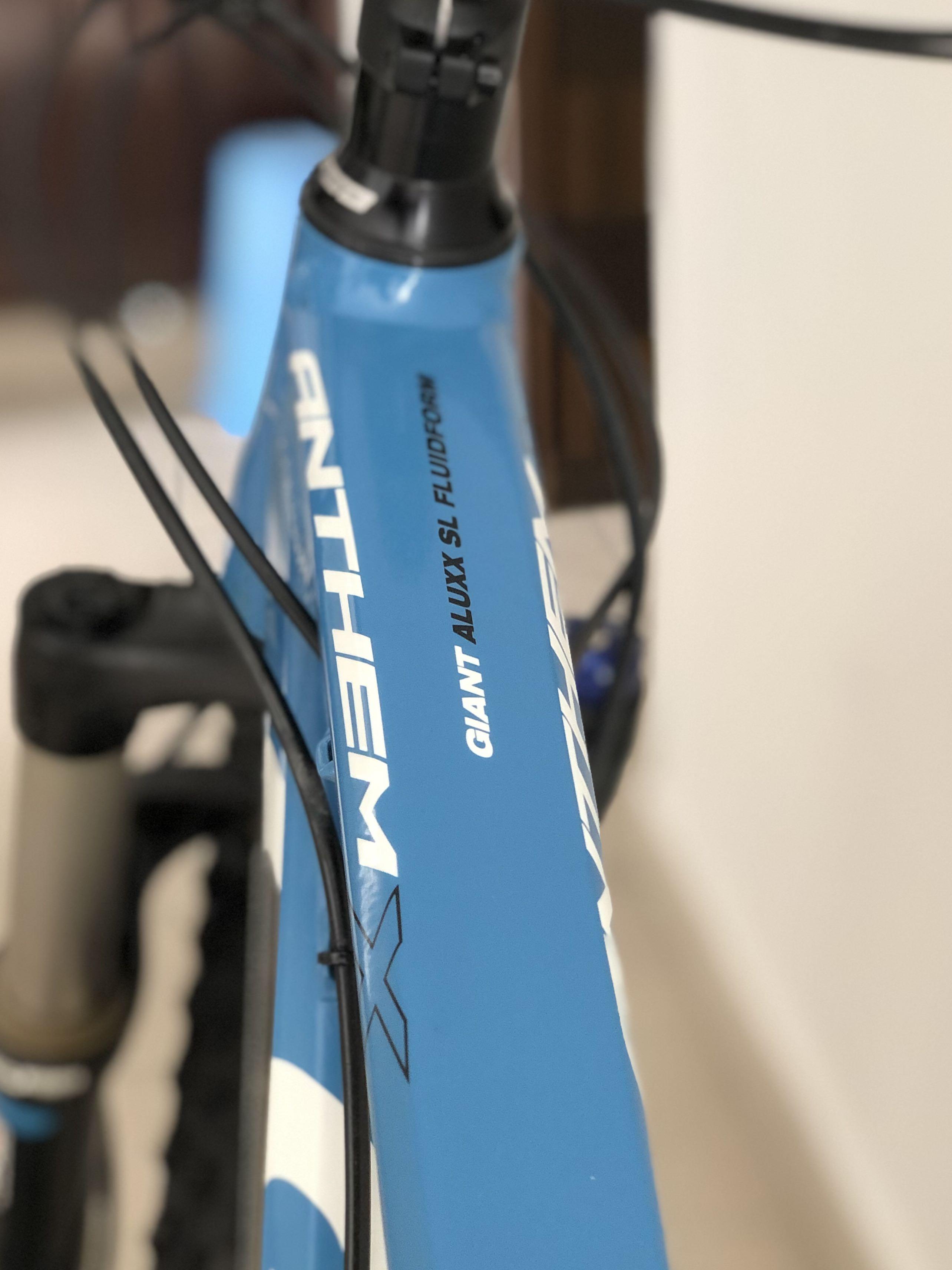 Giant anthem aluxx sl fluidform 2025 29