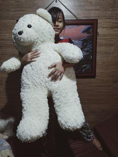 LIFE SIZE TEDY'S BEAR