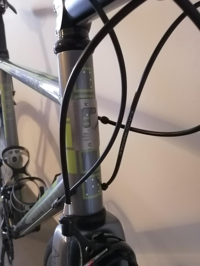 pegoretti frame price