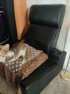 Big arm chair (w/o arm rest)