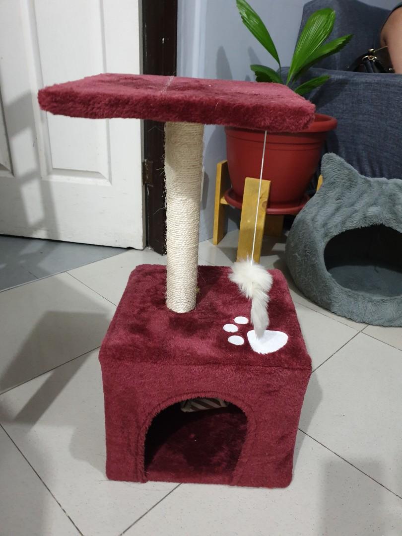 cat treat tower