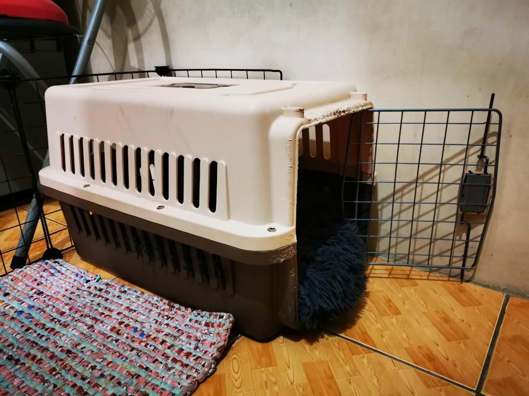 smart dog crate