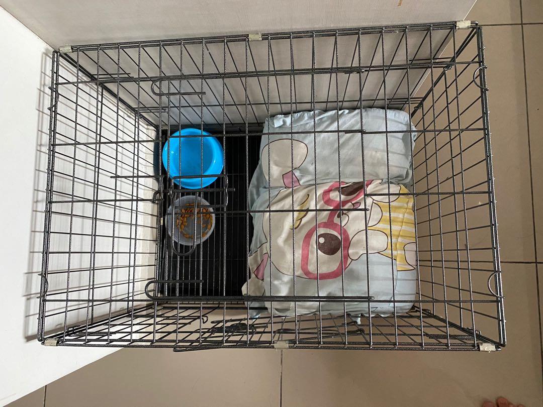 Pet Cage/Sangkar Kucing, Pet Supplies, Pet Accessories on Carousell