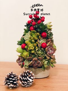 （分類：）位於 。 由 sowcaudex 提交（商品編號 1051793699，圖片 1）。簡介： 。