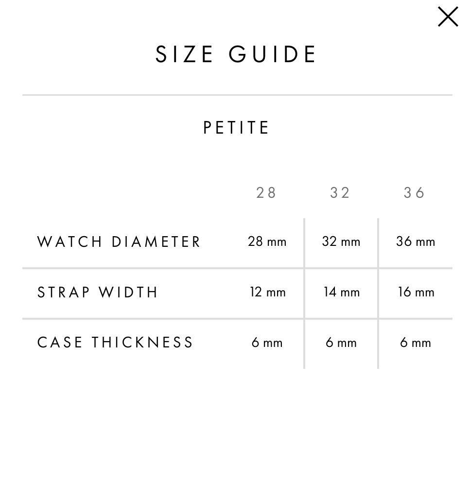 Daniel Wellington 28mm Petite Melrose Watch