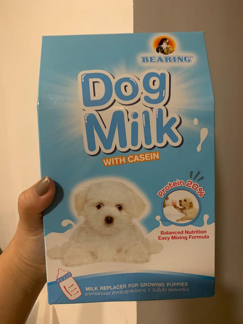 Bearing dog deals milk