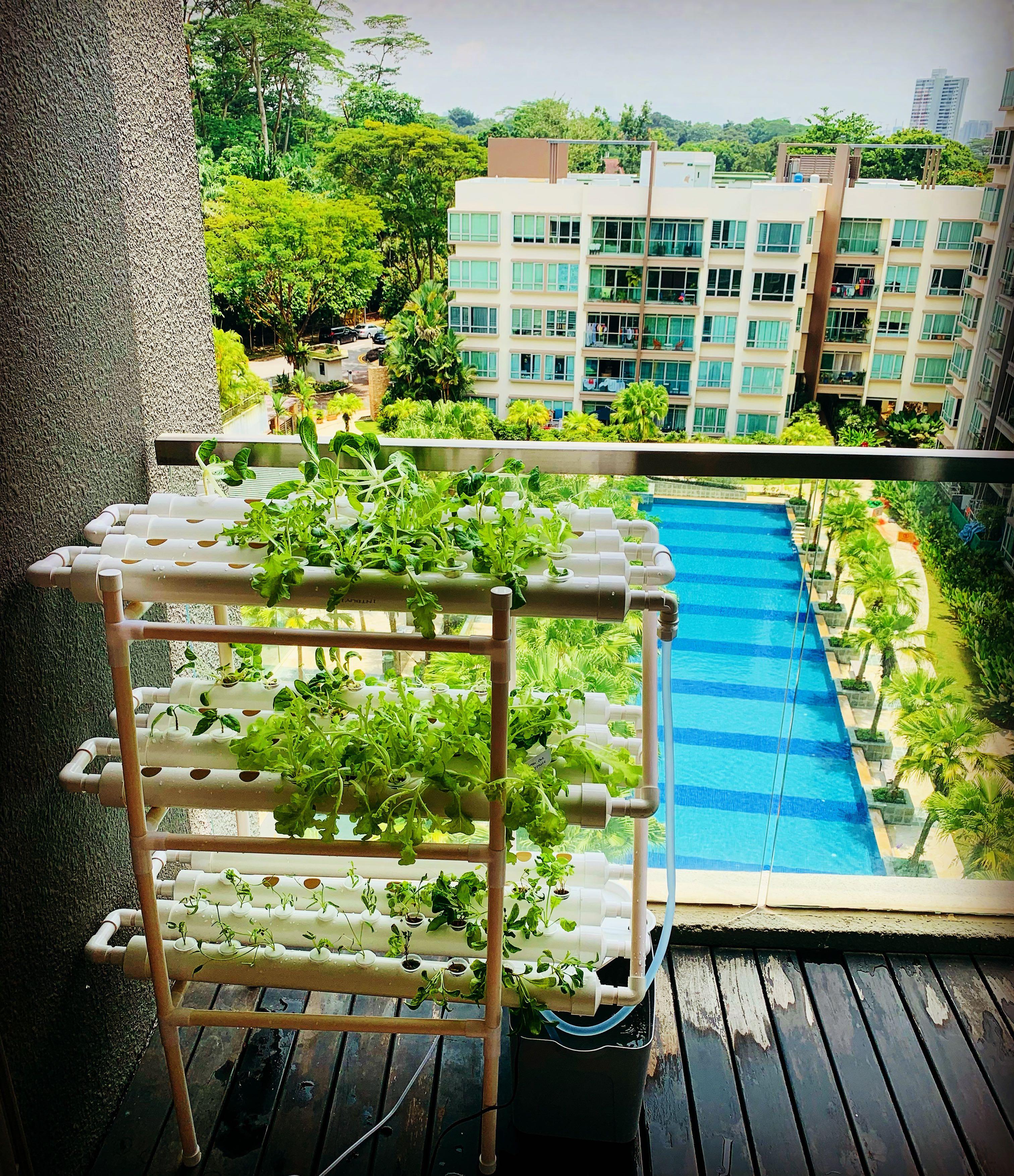 Black Fri Hydroponic Units Nft Nutrient Film Urban Gardening Kit Gardening Plants On Carousell
