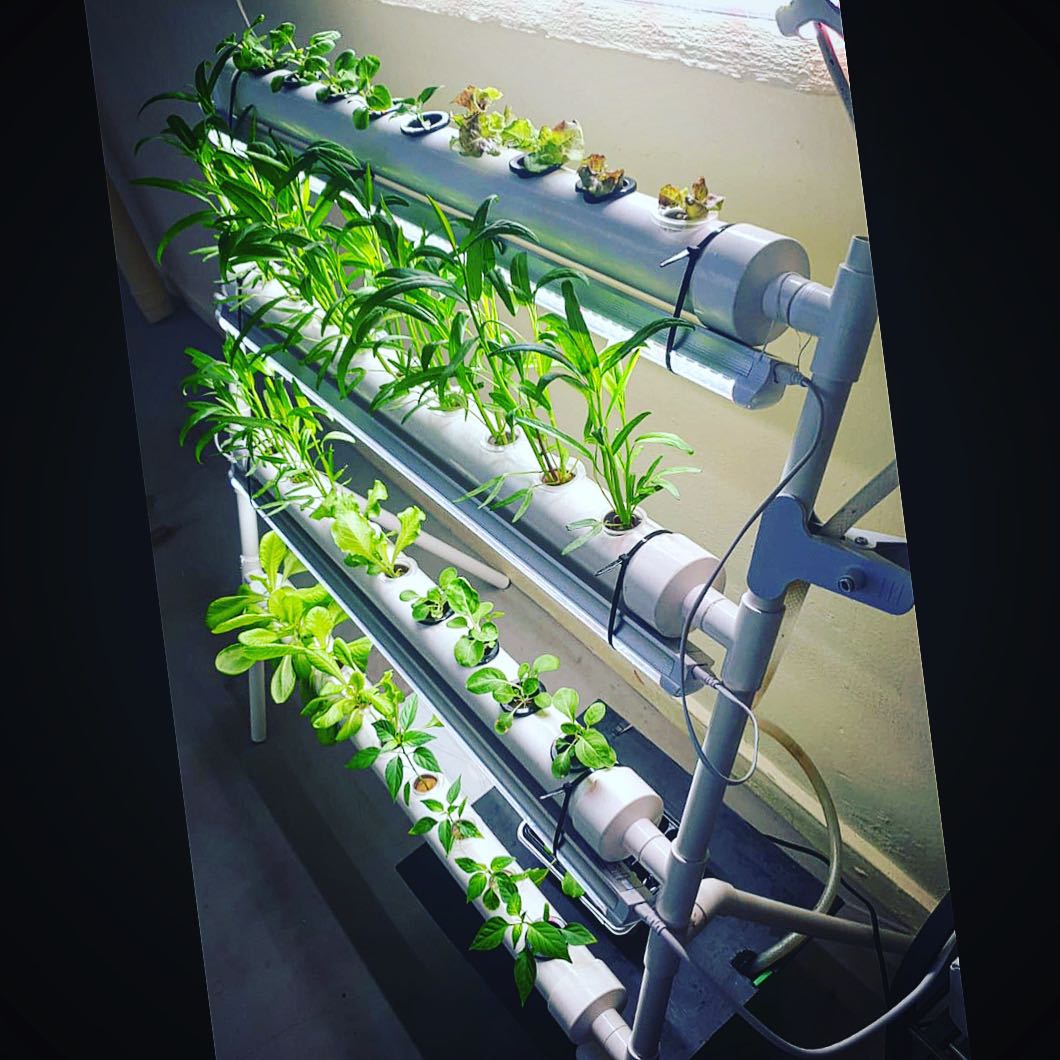 Hydroponic 36 pot system piping and unit for vegetable urban garden ...