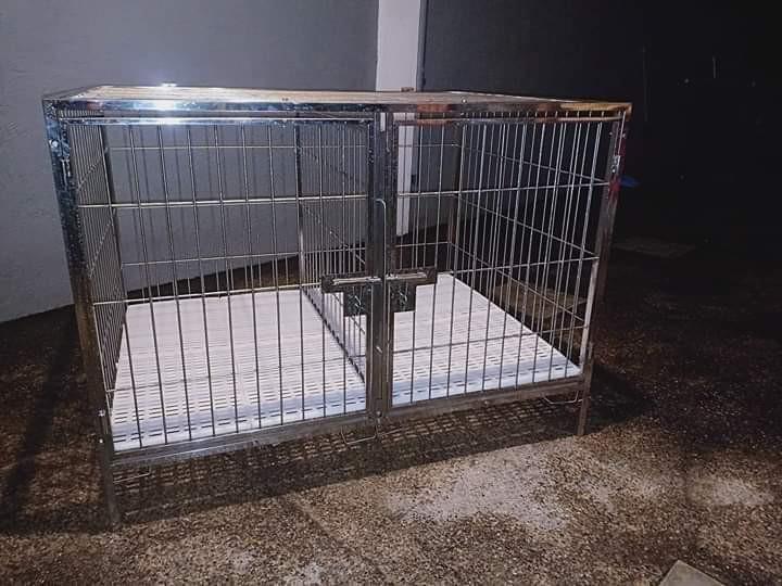Stainless dog cage best sale olx