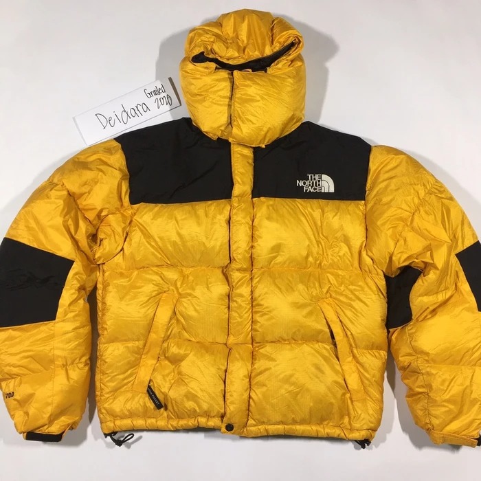 North face gore dryloft 700 discount