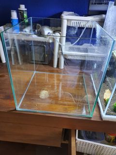 (Category: ) located in . Submitted by superman84 (Listing ID 1052003920, Image 1). Description: .