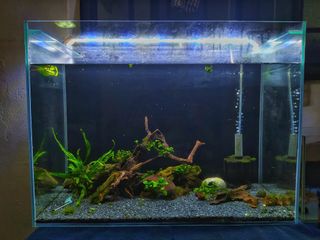 (Category: ) located in . Submitted by memo_pad (Listing ID 1052007196, Image 1). Description: .