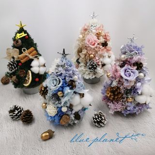 （分類：）位於 。 由 blueplanetflower 提交（商品編號 1051986709，圖片 1）。簡介： 。