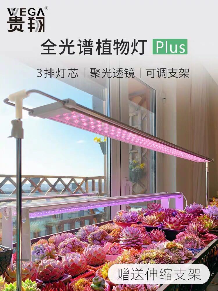 Wega grow shop light
