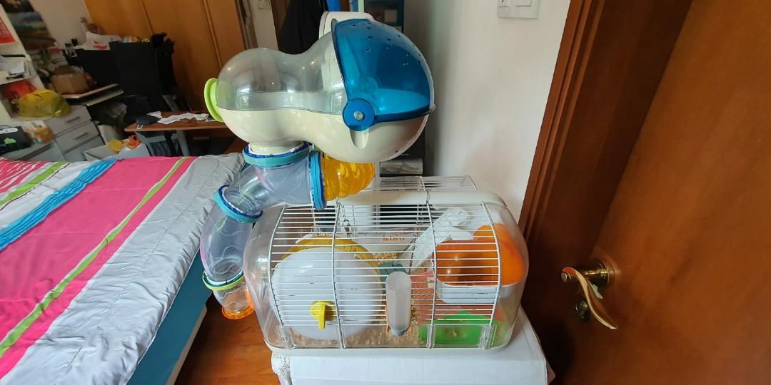 Curated visual reference: Fresh Look at How To Properly Set Up A Hamster Cage