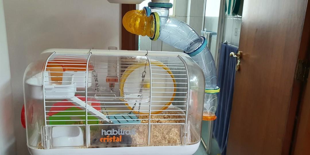 2 Layers Hamster Cage With Tubes Mouse Cage With Accessories Water Bottle Food Dish Transparent Hamster Habitat Exercise Wheel Hamster Guinea Pig Gerbil 10 9 X